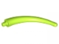 Dinosaur Tail End Section, lime